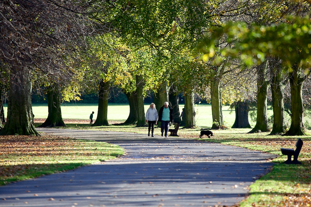 Calderstones park path c Dave Jones