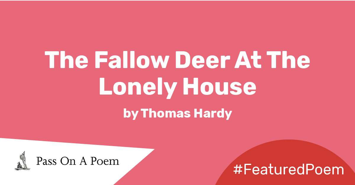 The fallow deer at the lonely house essay 05 picture