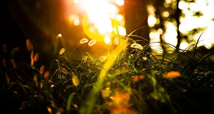 August stories and poems