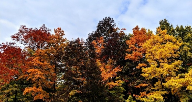 September stories and poems